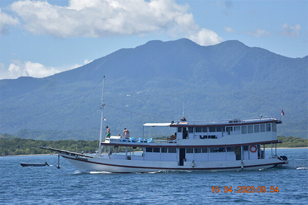 gallery komodo boat charter oke (11) gallery komodo boat charter oke (11)