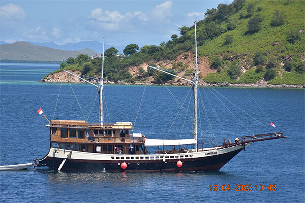 gallery komodo boat charter oke (12) gallery komodo boat charter oke (12)
