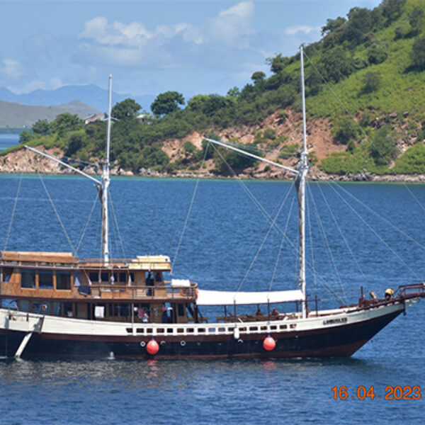 gallery komodo boat charter oke (12) Semi Phinisi