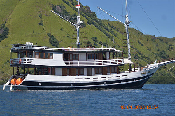 gallery komodo boat charter oke (19) gallery komodo boat charter oke (19)