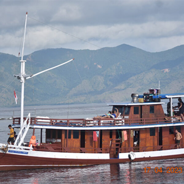 gallery komodo boat charter oke (2) Standart Boat