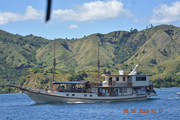 gallery komodo boat charter oke (20) gallery komodo boat charter oke (20)