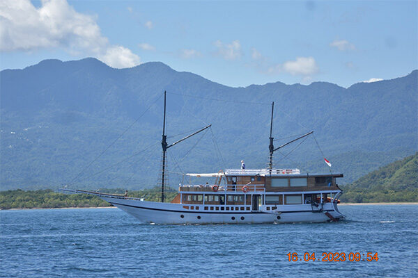 gallery komodo boat charter oke (21) gallery komodo boat charter oke (21)