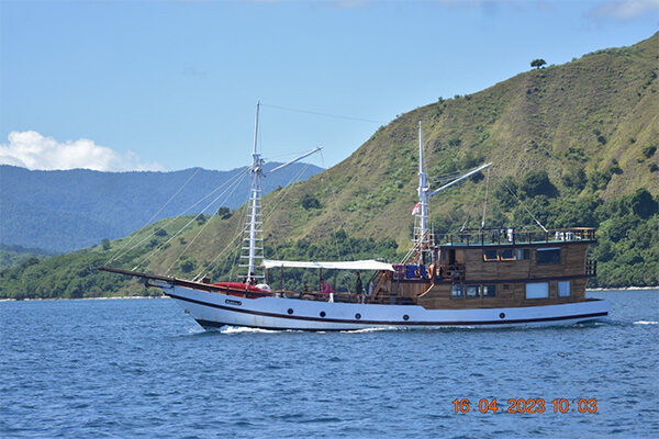 gallery komodo boat charter oke (23) gallery komodo boat charter oke (23)