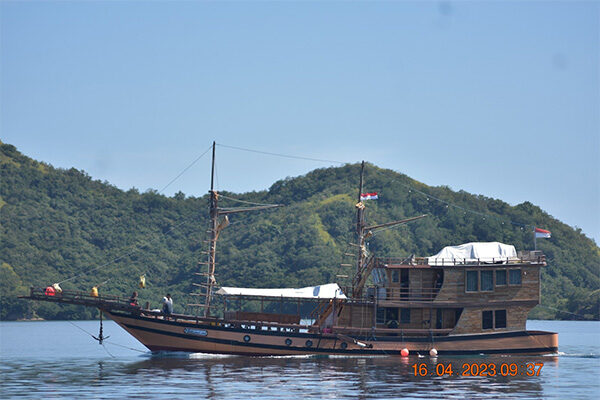 gallery komodo boat charter oke (25) gallery komodo boat charter oke (25)