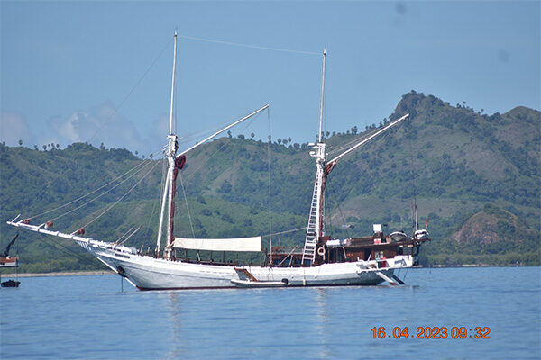 gallery komodo boat charter oke (26) gallery komodo boat charter oke (26)