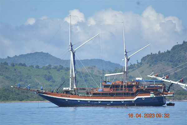 gallery komodo boat charter oke (27) gallery komodo boat charter oke (27)