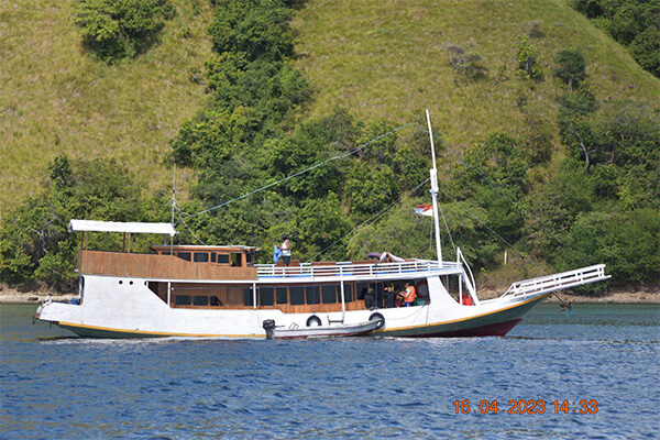 gallery komodo boat charter oke (5) gallery komodo boat charter oke (5)