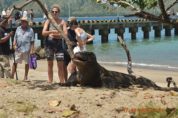 gallery - komodo boat charter (16) gallery - komodo boat charter (16)