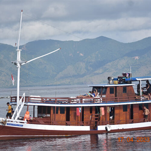 gallery komodo boat charter oke (2) gallery komodo boat charter oke (2)