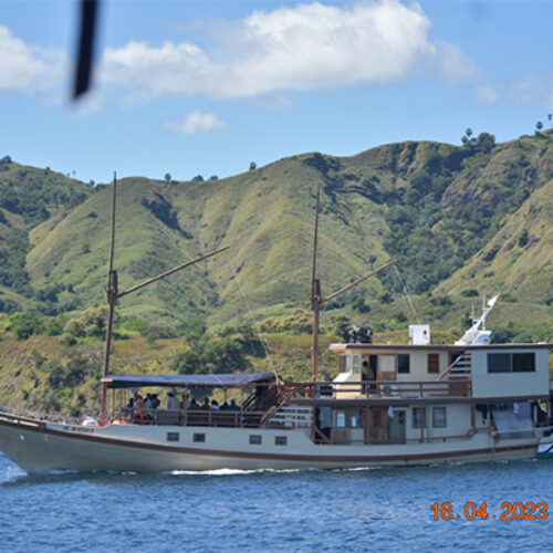 gallery komodo boat charter oke (20) gallery komodo boat charter oke (20)