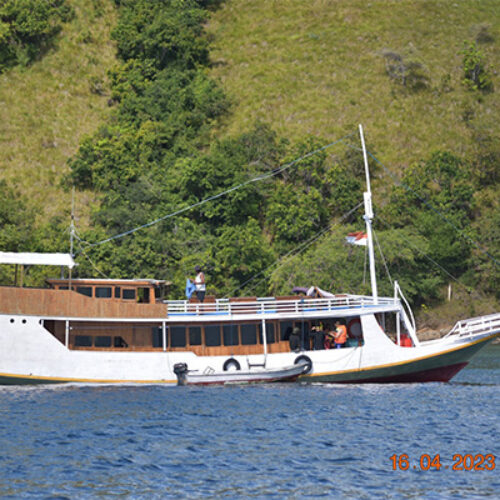 gallery komodo boat charter oke (5) gallery komodo boat charter oke (5)