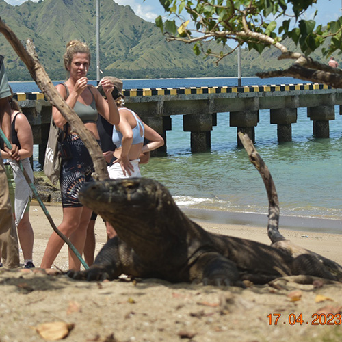 tour package komodo boat charter (4) tour package komodo boat charter (4)